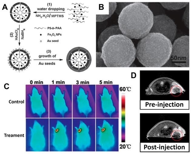 Theranostics Image