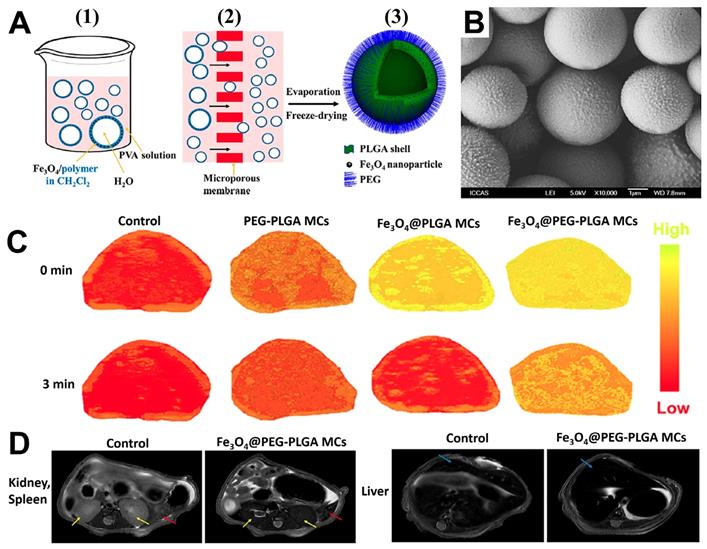 Theranostics Image