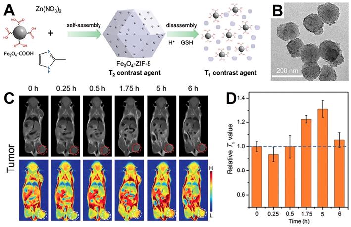 Theranostics Image