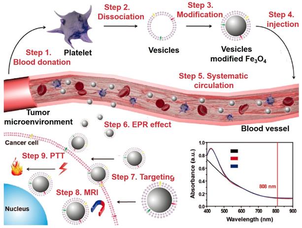 Theranostics Image