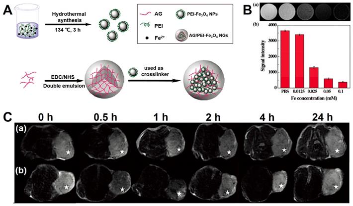 Theranostics Image