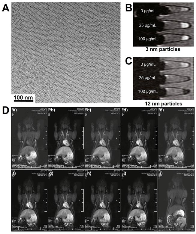 Theranostics Image