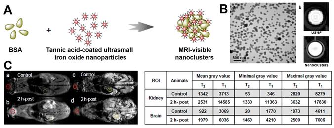 Theranostics Image