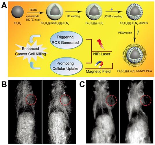 Theranostics Image