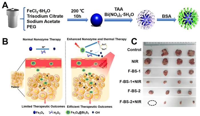 Theranostics Image