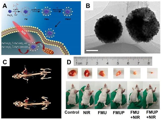 Theranostics Image