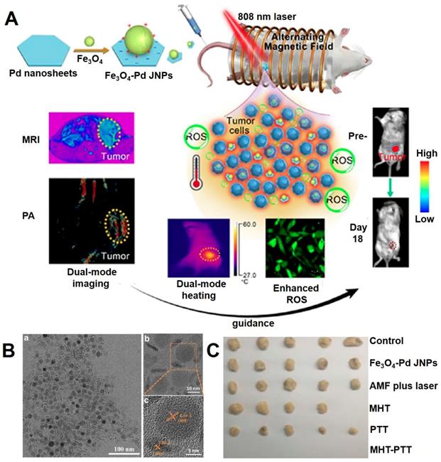 Theranostics Image