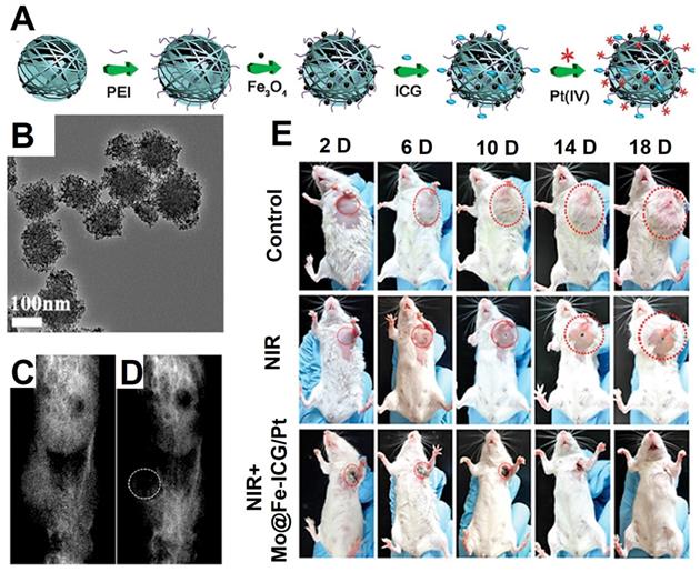 Theranostics Image