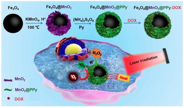 Theranostics Image