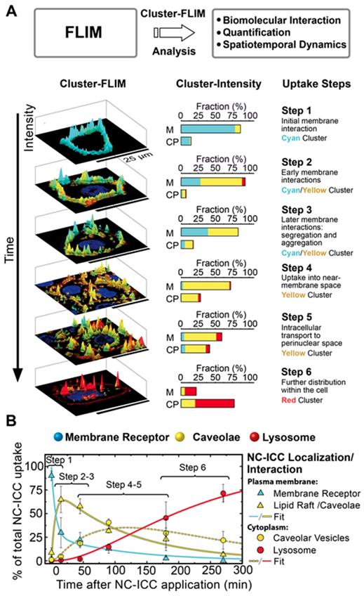 Theranostics Image