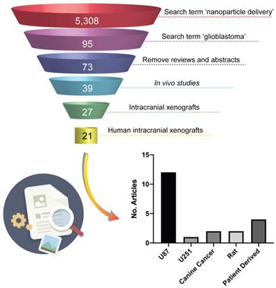 Theranostics Image