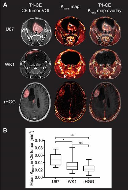 Theranostics Image