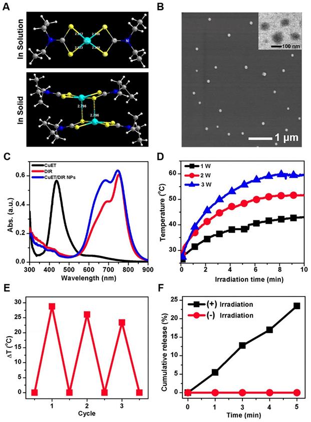 Theranostics Image