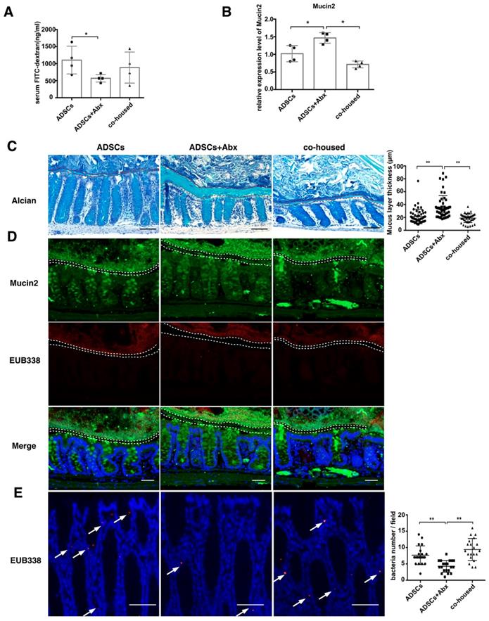 Theranostics Image