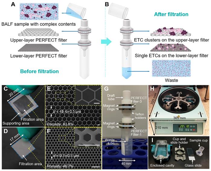 Theranostics Image