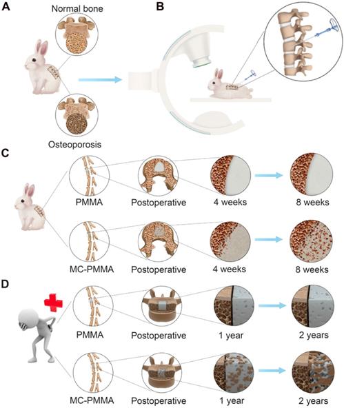 Theranostics Image