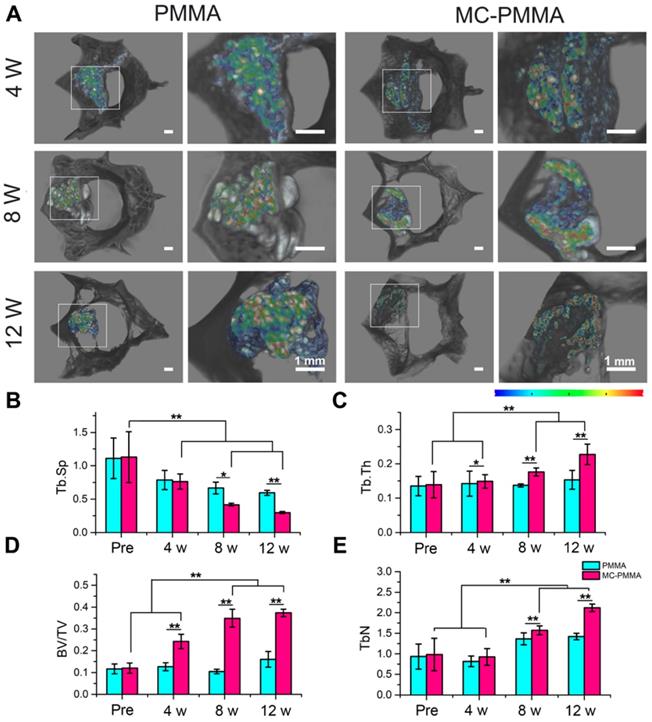 Theranostics Image