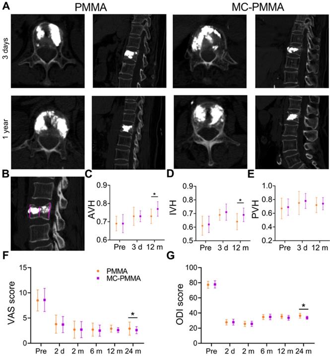 Theranostics Image