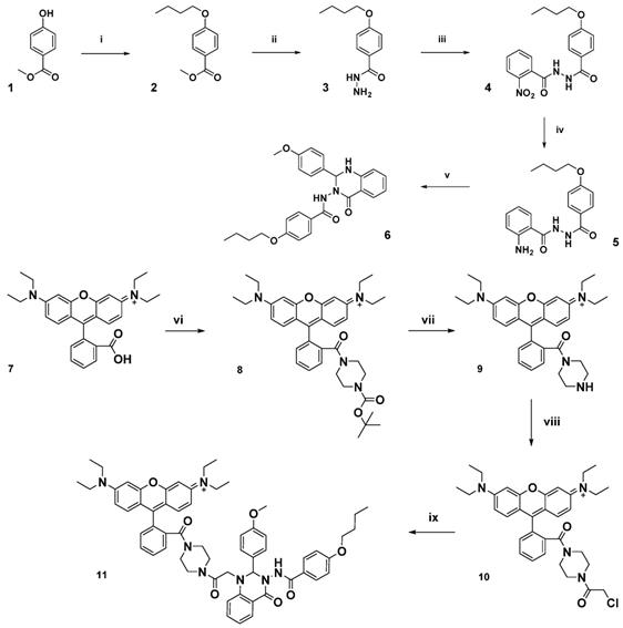 Theranostics Image