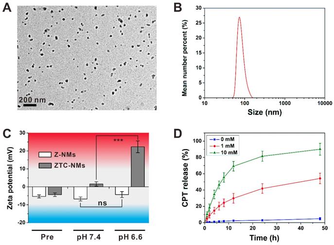 Theranostics Image