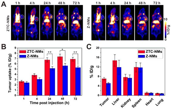 Theranostics Image