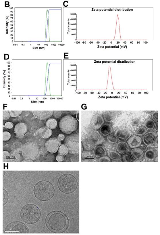 Theranostics Image