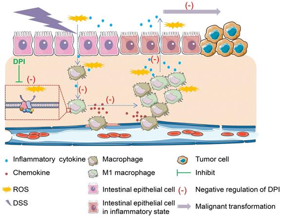 Theranostics Image