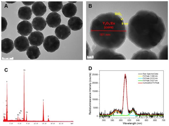 Theranostics Image