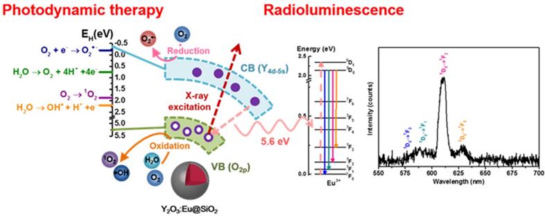 Theranostics Image