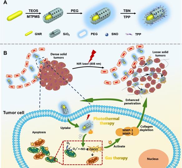 Theranostics Image