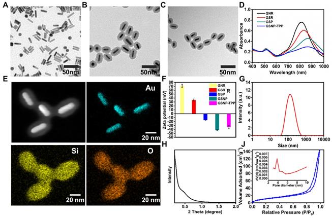 Theranostics Image