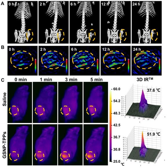 Theranostics Image