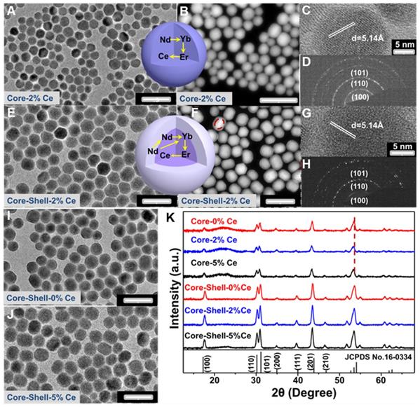 Theranostics Image