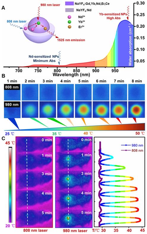 Theranostics Image