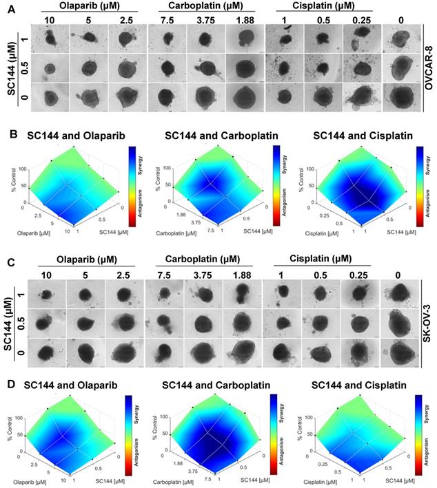 Theranostics Image