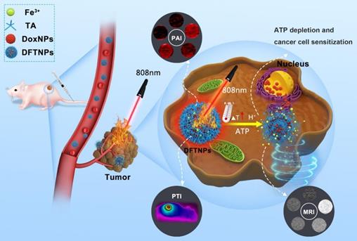 Theranostics Image