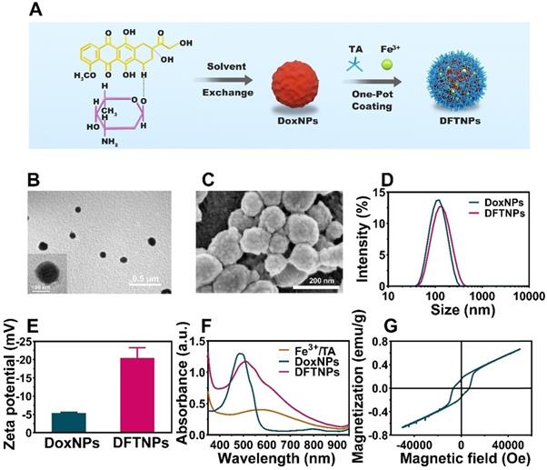 Theranostics Image