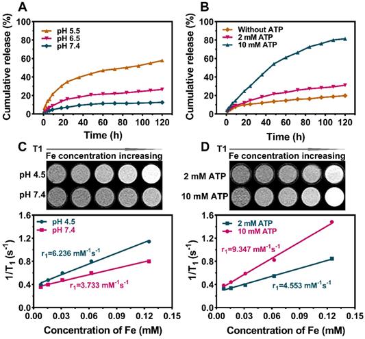 Theranostics Image