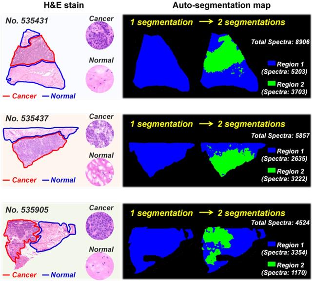 Theranostics Image