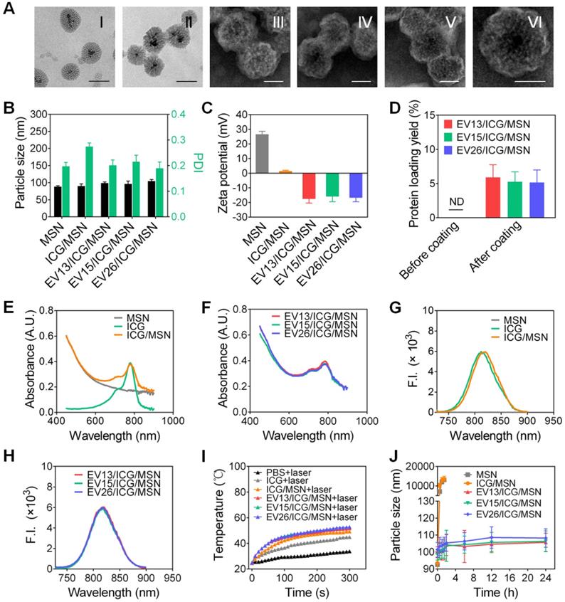 Theranostics Image