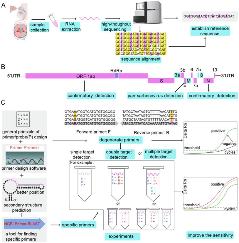 Theranostics Image