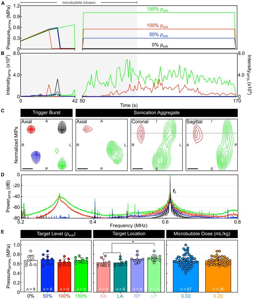 Theranostics Image