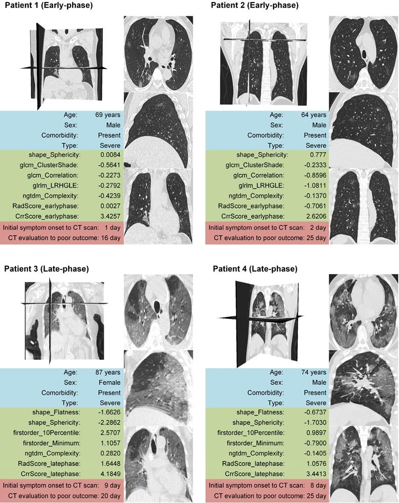 Theranostics Image