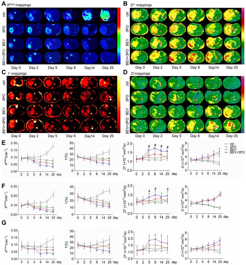 Theranostics Image