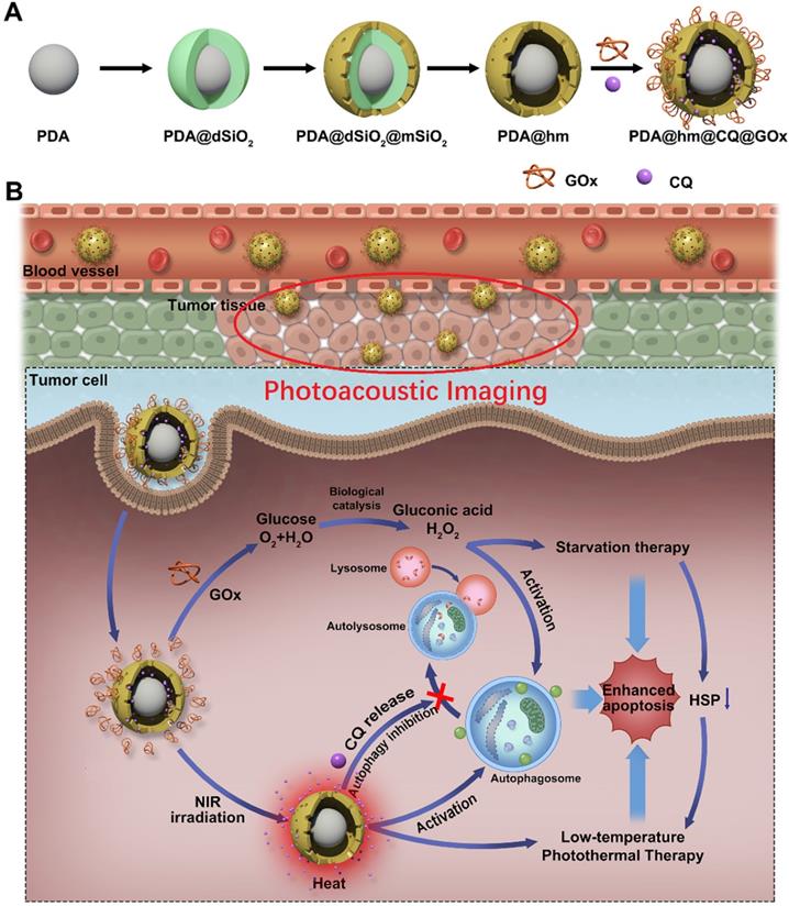 Theranostics Image