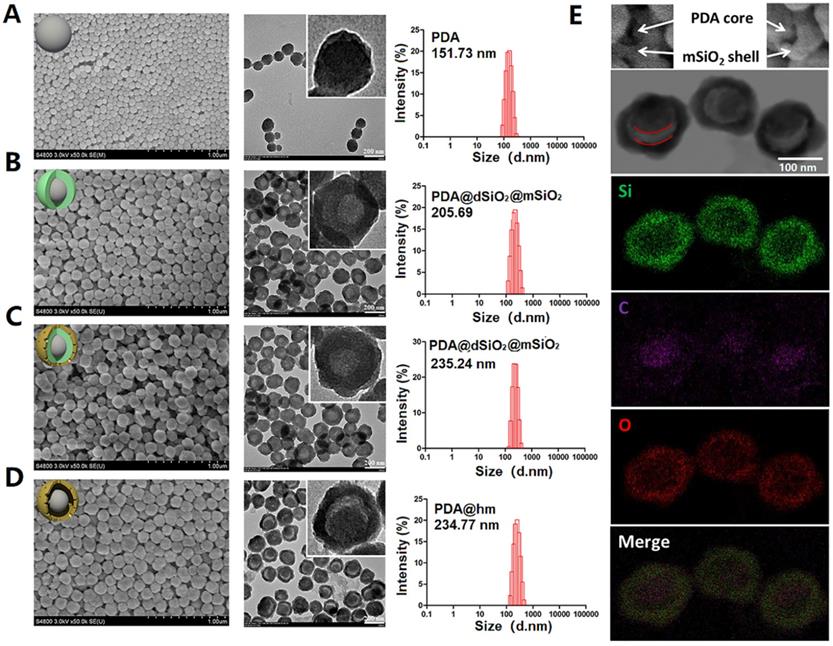 Theranostics Image