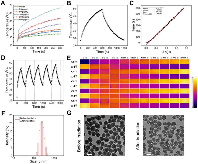 Theranostics Image