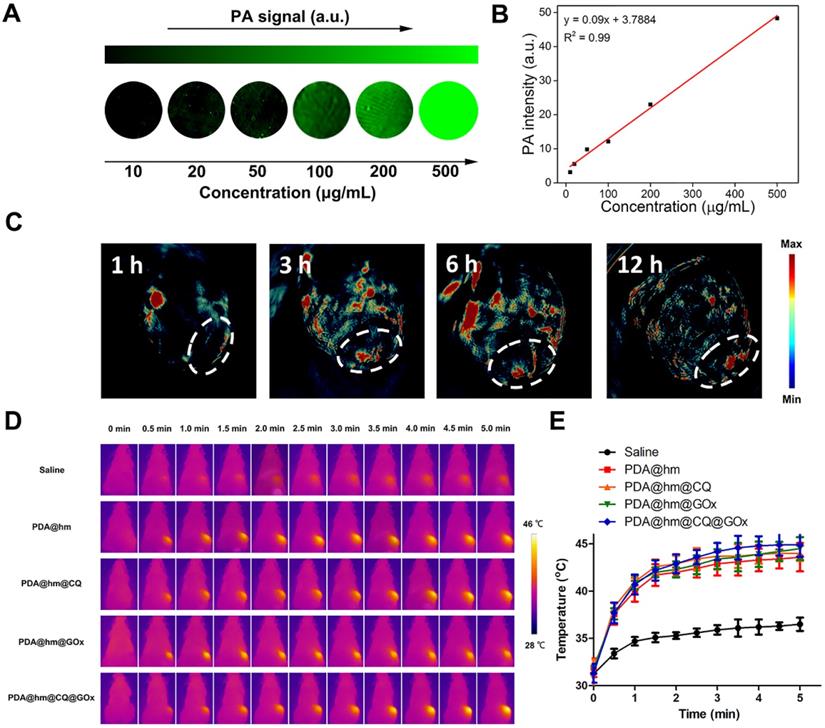 Theranostics Image