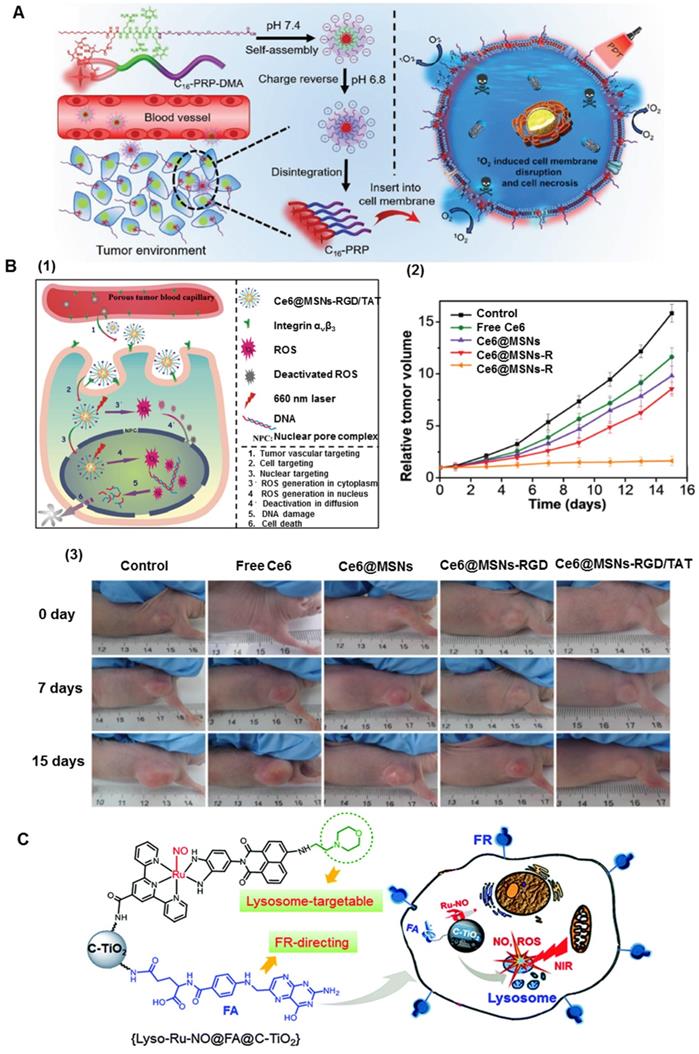 Theranostics Image