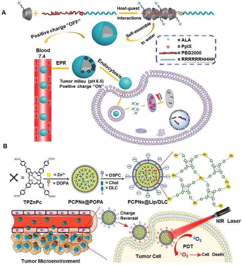 Theranostics Image